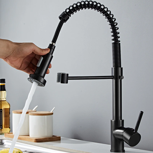 Johannes Swivel Spout Pull-Down Single-Hole Kitchen Sink Faucet in Black Color.