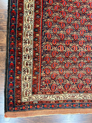 Persian Kurdish Rug 5x6, Wool Hand Knotted Vintage Carpet, Red Blue Cream, Boteh Paisley Pattern, 5 x 6 Medium Sized Oriental Rug