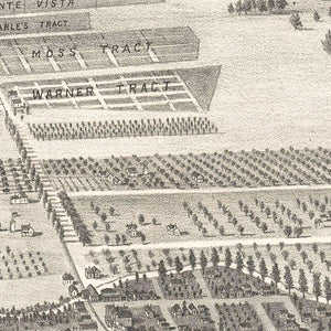 Vintage Map of San Leandro, California 1892