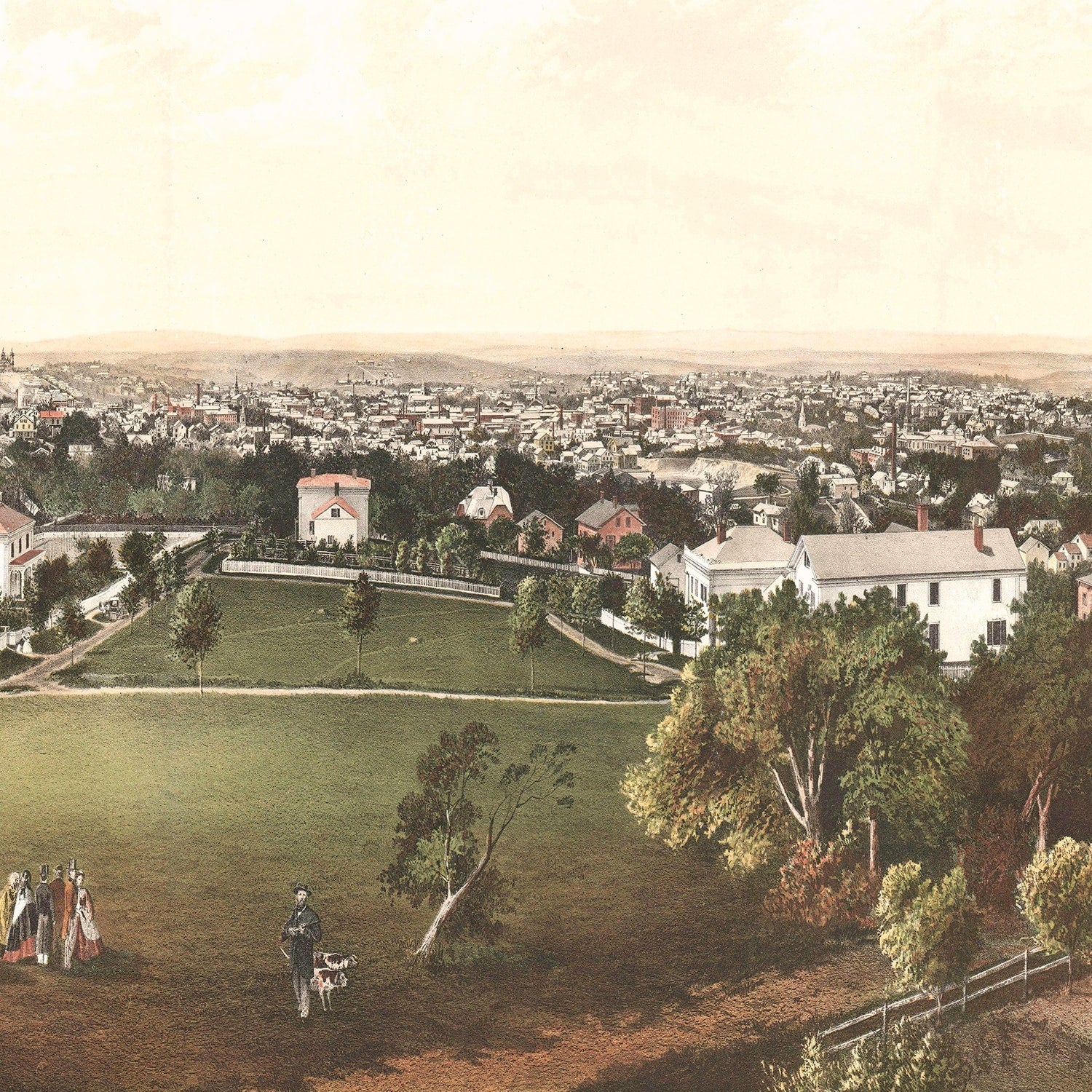 Vintage Map of Worcester, Massachusetts 1864