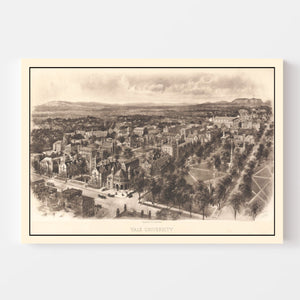 Vintage Map of Yale University, 1906
