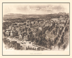 Vintage Map of Yale University, 1906