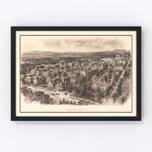 Vintage Map of Yale University, 1906