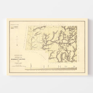 Vintage Map of Marion County, Alabama 1878