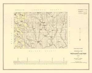 Vintage Map of Winston County, Alabama 1878