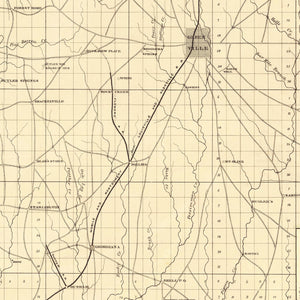Vintage Map of Butler County, Alabama 1884