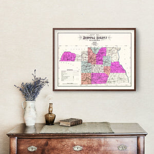 Vintage Map of Houston County, Alabama 1907