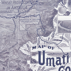 Vintage Map of Umatilla County, Washington 1908