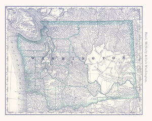 Vintage Map of Washington 1881