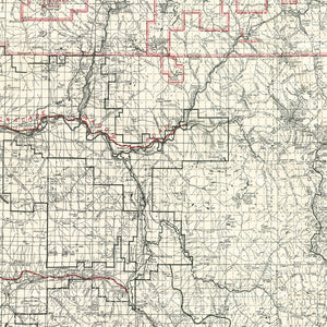 Vintage Map of Mt. Baker National Forest 1931