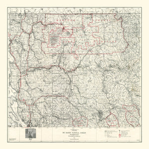 Vintage Map of Mt. Baker National Forest 1931