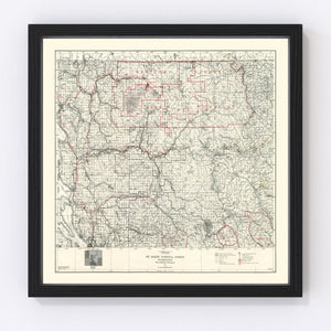 Vintage Map of Mt. Baker National Forest 1931