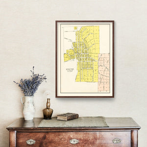 Vintage Map of Steptoe, Washington 1910