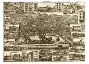 Vintage Map of Reading, Pennsylvania 1881