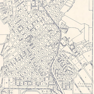 Vintage Map of San Luis Obispo, California 1920
