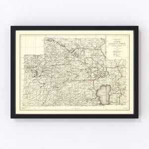 Vintage Map of Tahoe National Forest 1925