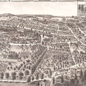 Vintage Map of Grass Valley, California 1889