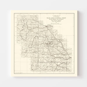 Vintage Black Hills National Forest Map 1917