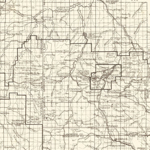 Vintage Black Hills National Forest Map 1917