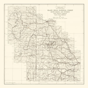 Vintage Black Hills National Forest Map 1917