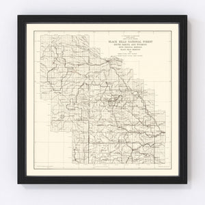 Vintage Black Hills National Forest Map 1917