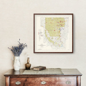 Vintage Black Hills National Forest Map 1962