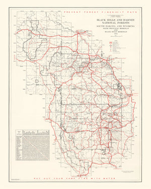 Vintage Black Hills & Harney National Forest Map 1934