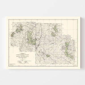Vintage Custer National Forest Map 1938