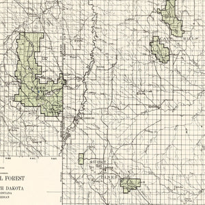 Vintage Custer National Forest Map 1938