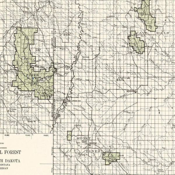 Vintage Custer National Forest Map 1938 - Home and Tower