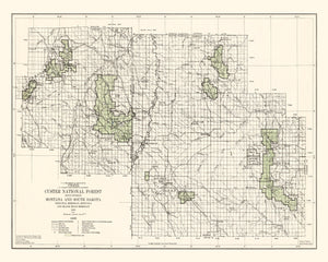 Vintage Custer National Forest Map 1938