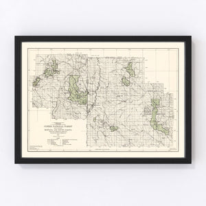 Vintage Custer National Forest Map 1938