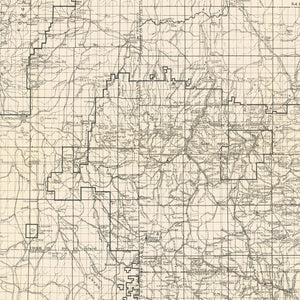 Vintage Harney National Forest Map 1939