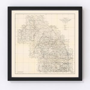 Vintage Harney National Forest Map 1939