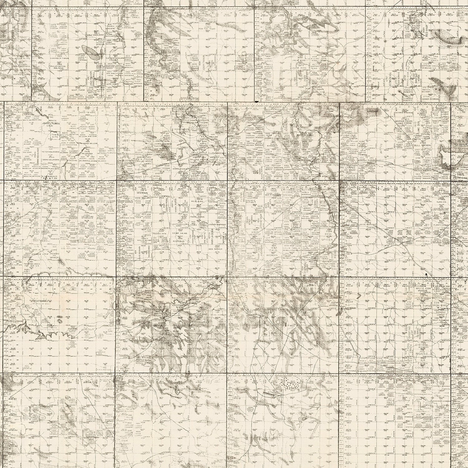 Vintage Map of Tripp County, South Dakota 1908