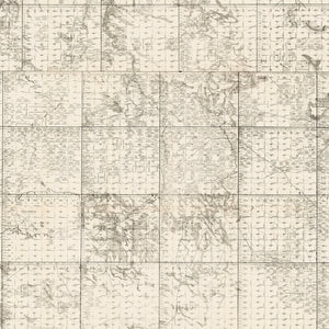 Vintage Map of Tripp County, South Dakota 1908