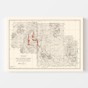 Vintage Sioux National Forest Map 1919