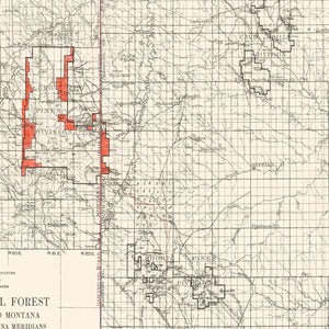 Vintage Sioux National Forest Map 1919