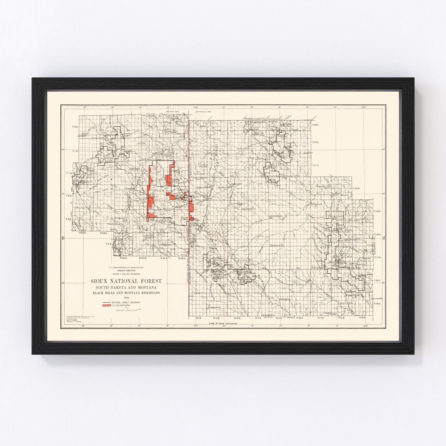 Vintage Sioux National Forest Map 1919
