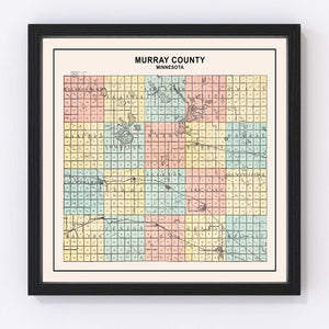 Vintage Map of Murray County, Minnesota 1907