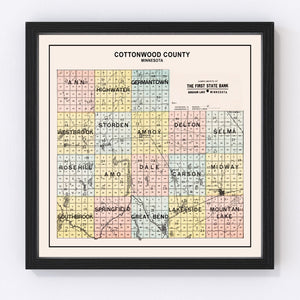 Vintage Map of Cottonwood County, Minnesota 1907