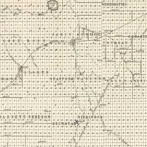 Vintage Map of Roseau County, Minnesota 1911