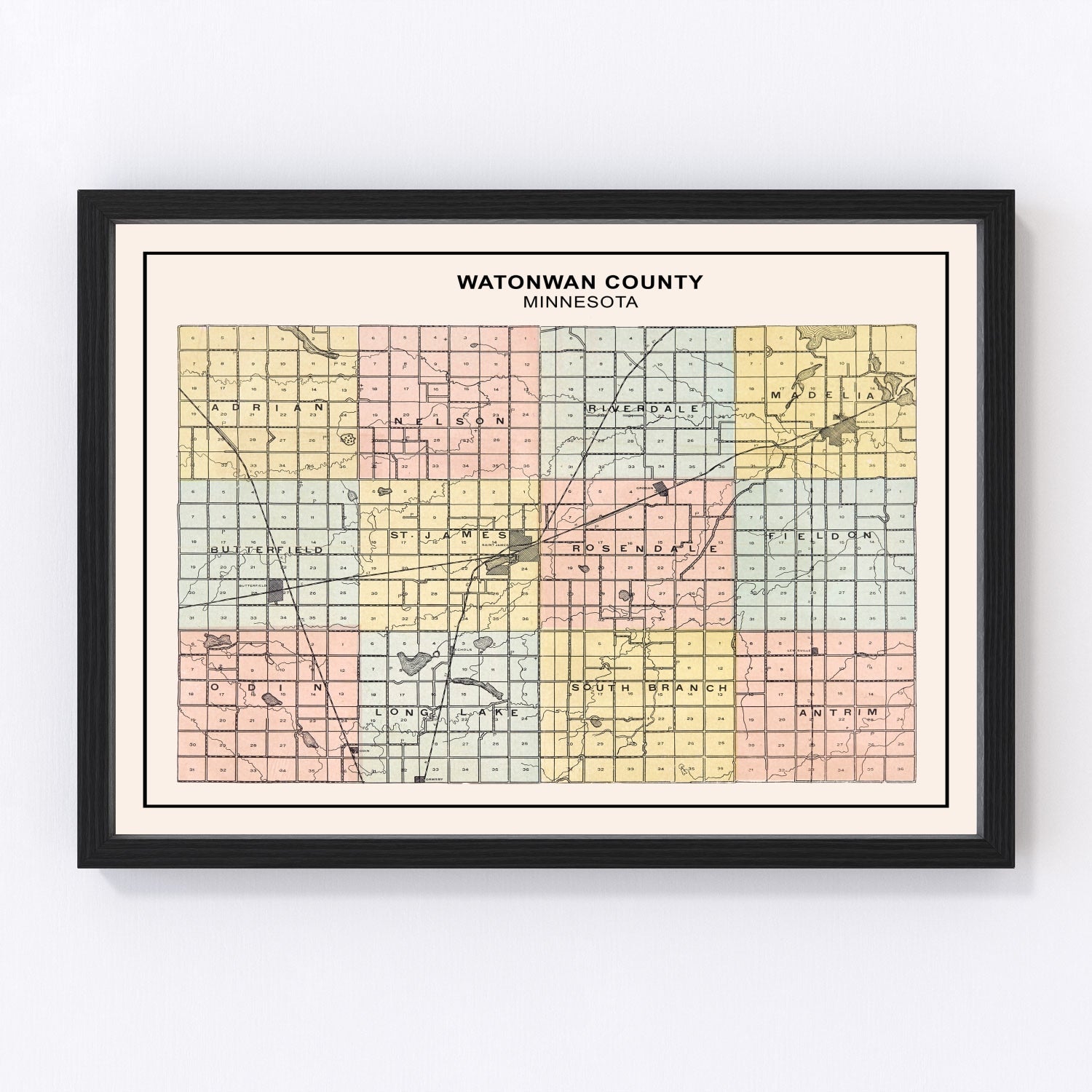 Vintage Map of Watonwan County, Minnesota 1907