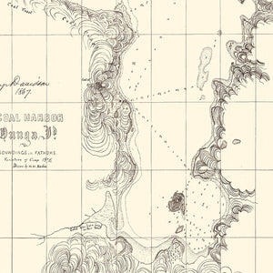 Vintage Coal Harbor Map 1867