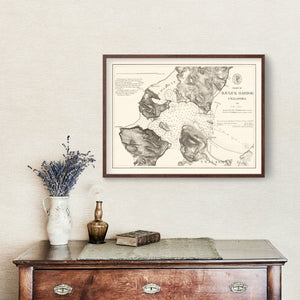 Vintage Iliuliuk Harbor, Unalashka Map 1875