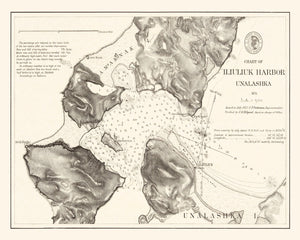 Vintage Iliuliuk Harbor, Unalashka Map 1875
