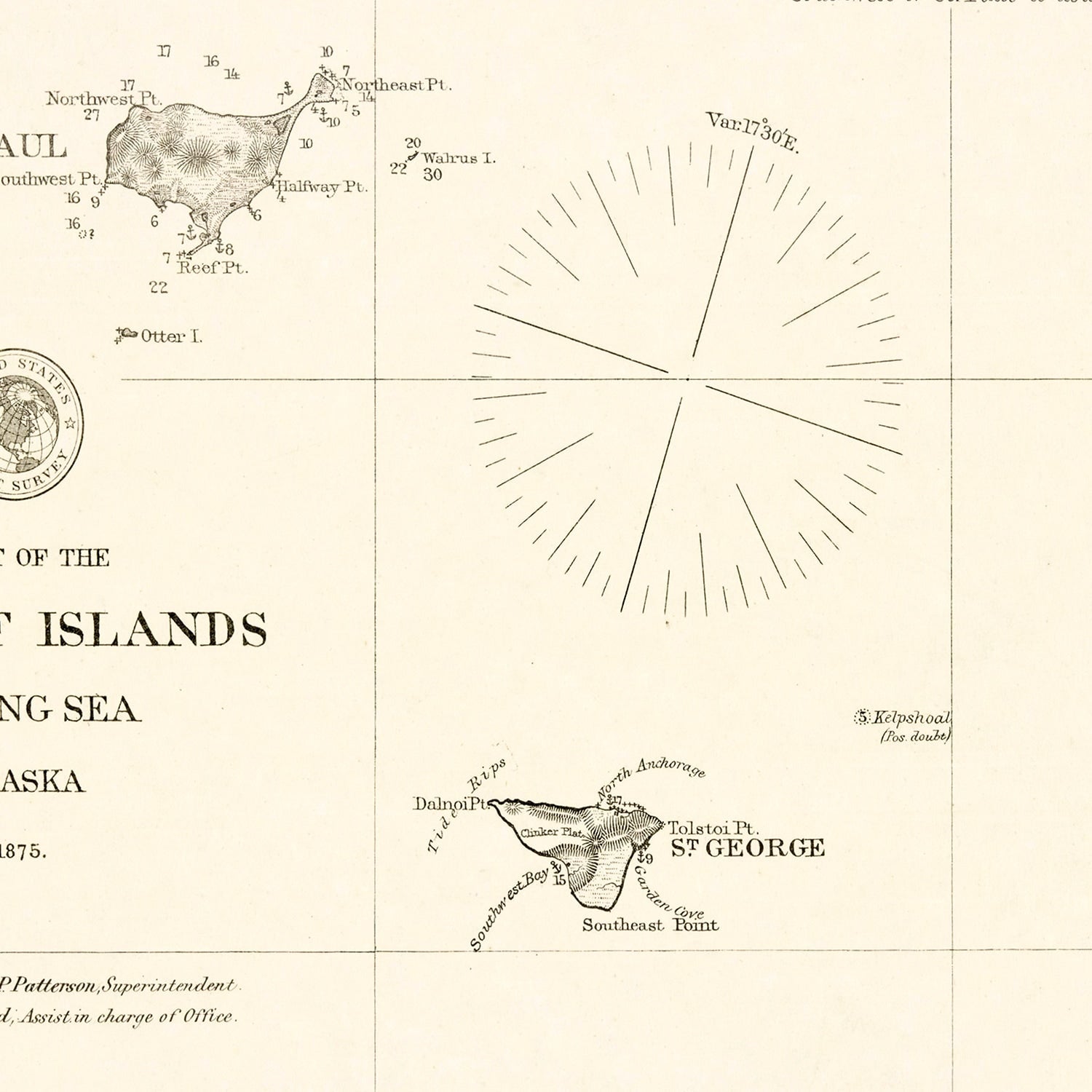 Vintage Pribiloff Islands, AK Map 1875