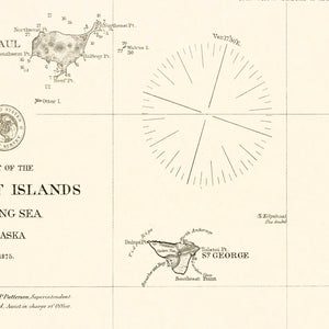 Vintage Pribiloff Islands, AK Map 1875