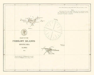 Vintage Pribiloff Islands, AK Map 1875