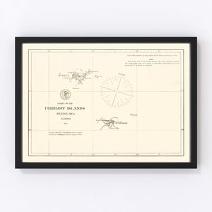 Vintage Pribiloff Islands, AK Map 1875